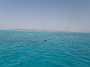 247KiteMania_El Gouna